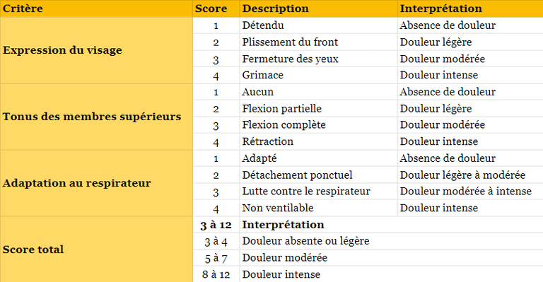 L'échelle BPS (Behavioral Pain Scale) | Rea ICU